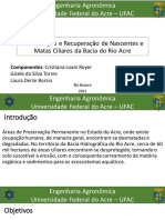 Proposta de Educação Ambiental - Ecologia n2