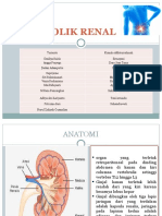 Kolik Renal