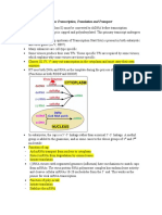 Virus Transcription, Translation and Transport: ST ND