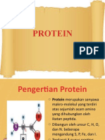 Protein