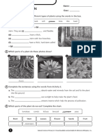 Unit 5 Worksheets