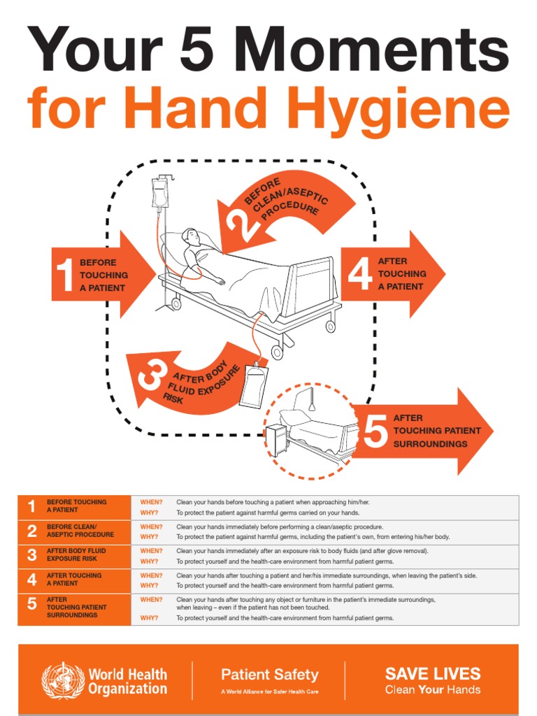 Your 5 Moments For Hand Hygiene Poster PDF Hygiene Infection Control