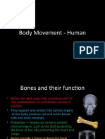 Bodymovement Human