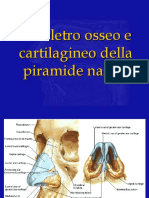 Anatomia Delle Cavita Nasali e Dei Seni Paranasali_1