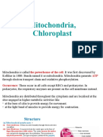 CELL-THE UNIT OF LIFE - Mitochondria, Chloroplast