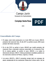 PPT_Campo_IEES_ArielCespedes