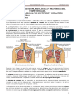 Basesbiologicas