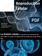 Reproducion Celular Diapositivas
