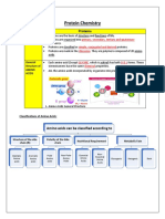 Protein Chemistry: Amino Acids Classified and Explained