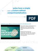 Prokaryote Cells Powerpoint