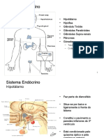 110_endocrino_cf