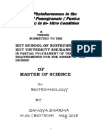 Effect of Phytohormones on Pomegranate Growth in In Vitro Conditions