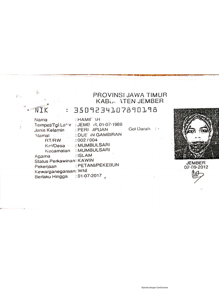 KTP Hamidah | PDF