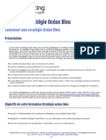 Formation-Strategie-Ocean-Bleu