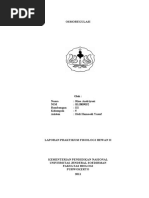 Download OSMOREGULASI by Rina AndRy RiYan SN55426541 doc pdf