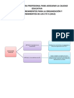 Lineamientos para La Organizacion y Funcionamiento de Los Cte S