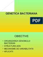 Genetica Bacteriana