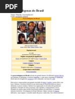 Povos indígenas do Brasil