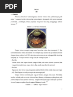 Download Bab 2 by Roni Armanda SN55429526 doc pdf