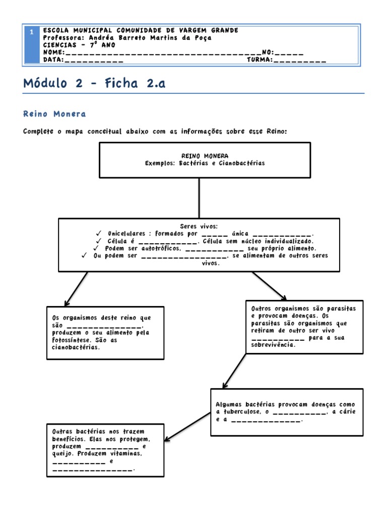 Reino Monera e Fungos: Conceitos e Diferenças | PDF | Fungo | Fermento