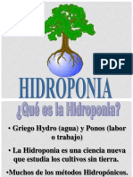 Hidroponia 110730100746 Phpapp01