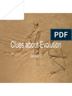 Clues About Evolution Slides
