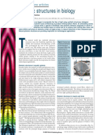 Photonic Structures in Biology: Insight