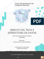 Ensayo Introduccion A Las Estructura de Datos