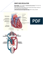 Heart and Circulation: Which Is Why A Double