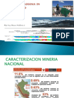 Mineria y Metalogenia Regional