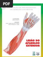 Extensores da mão 01