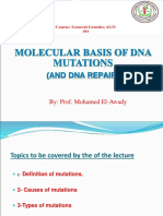 DNA Mutation Final