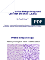 Tilv Diagnostics: Histopathology and Collection of Sample (Level 2)