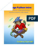 100 Page Python Intro v1p0