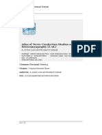 20-Common Peroneal Nerve