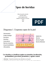 Tipos de Heridas