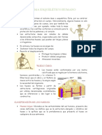 Sistema Esqueletico Humano Clase (16-08-2021)