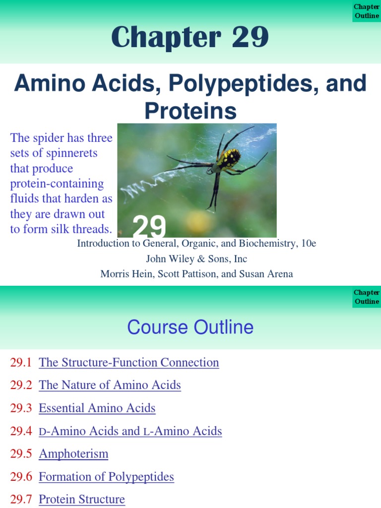 Chapter 29 Amino Acids, Polypeptides and Proteins PDF Denaturation (Biochemistry) Amino Acid