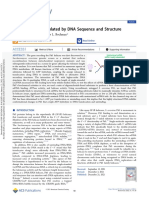 A Atividade Pif1 É Modulada Pela Sequência e Estrutura de DNA