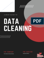 Data Cleaning: A Brief Guide To