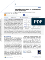 Identificação de Uma Espécie Intermediária Ao Longo Da Via de Reação Da Nitrila Hidratase Por Espectroscopia EPR