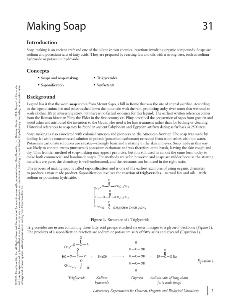 Making Soap 31 Equation 1 PDF Soap Fatty Acid