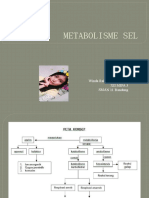 Enzim dan Metabolisme Sel