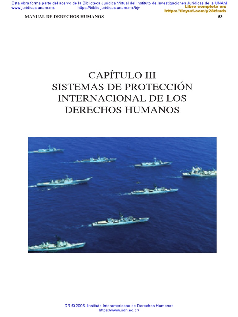 Sistemas de Proteccion Internacional | PDF | Derechos humanos ...