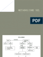 METABOLISME SEL