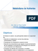 1 Fisiologia y Metabolismo de Nutrientes