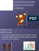 MARAH Jiwa 09