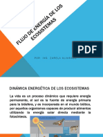 Energía en ecosistemas: flujos y niveles tróficos