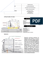 Structure of Skin, Skin Problems, Hair Structure and Hair Growth Cycle