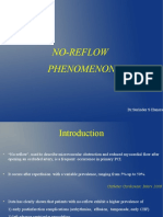 No-Reflow Phenomenon: DR - Surinder S Hansra